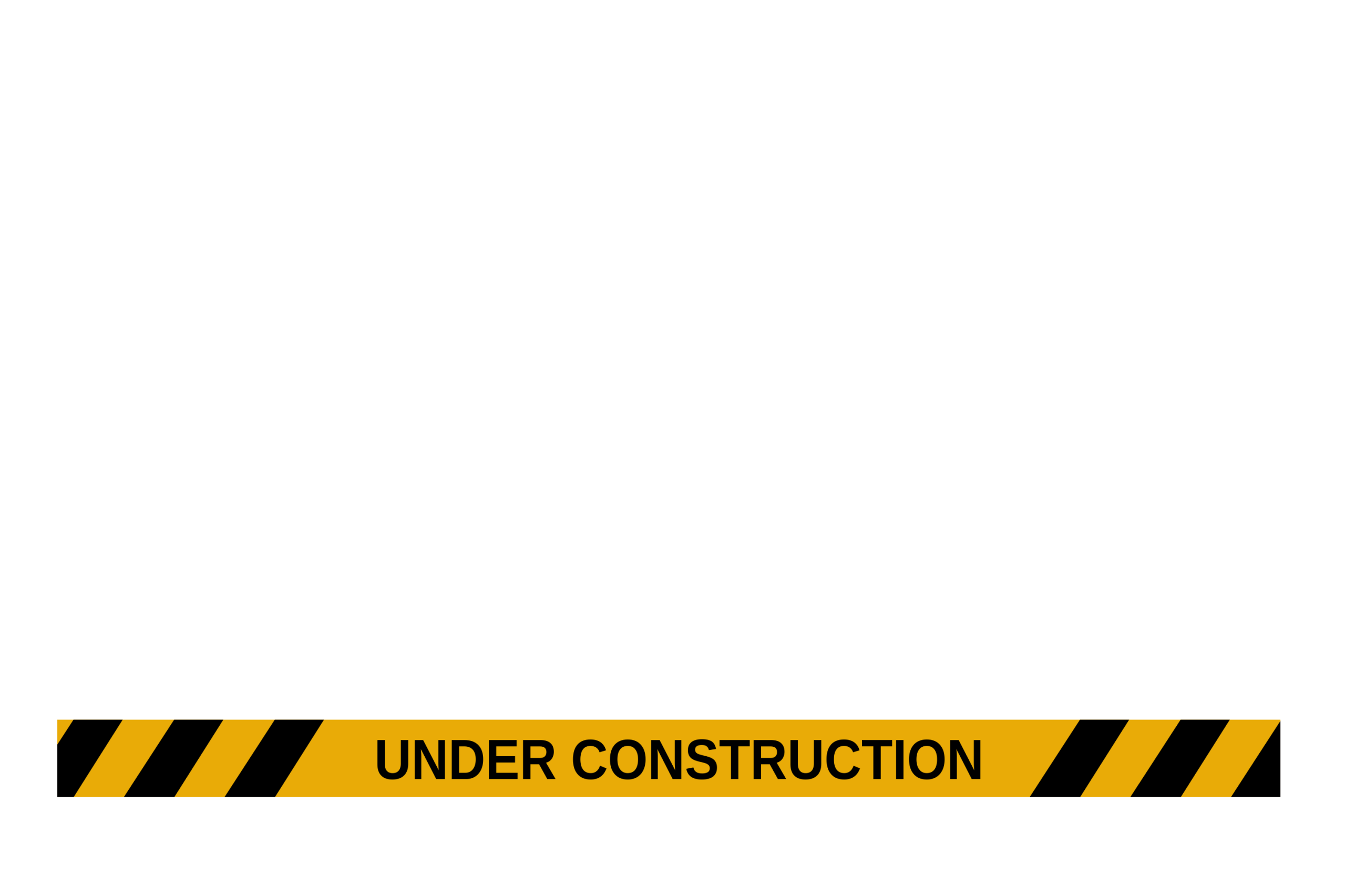 Naranja Negocios Servicios Sitio Web (5)